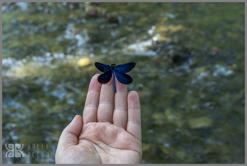 � Kalli Bellou / www.kallibellou.com